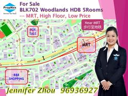 Blk 702 Woodlands Drive 40 (Woodlands), HDB 5 Rooms #138413772